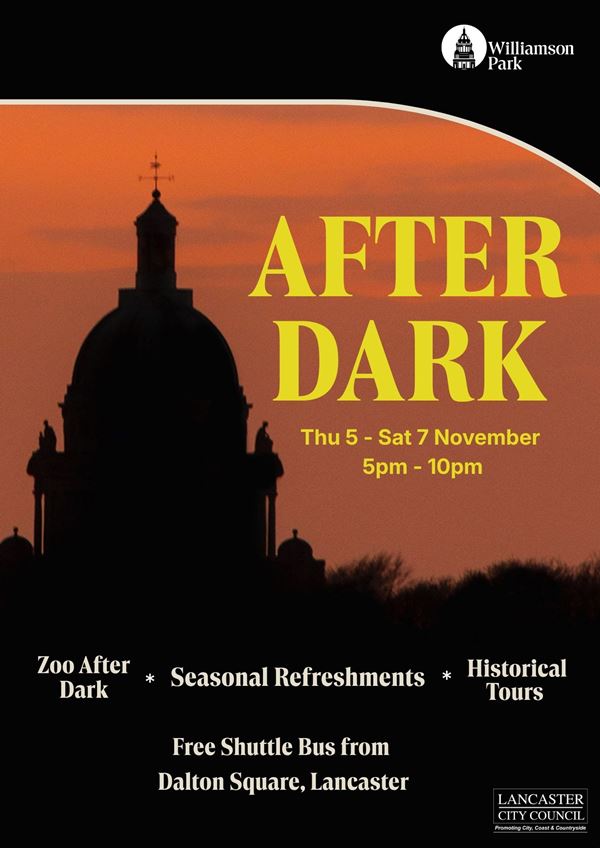 WP After Dark